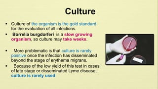 Culture 
 Culture of the organism is the gold standard 
for the evaluation of all infections. 
 Borrelia burgdorferi is a slow growing 
organism, so culture may take weeks. 
 More problematic is that culture is rarely 
positive once the infection has disseminated 
beyond the stage of erythema migrans. 
 Because of the low yield of this test in cases 
of late stage or disseminated Lyme disease, 
culture is rarely used 
 