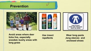 Prevention 
Avoid areas where deer 
ticks live, especially 
wooded, bushy areas with 
long grass 
Use insect 
repellents 
Wear long pants 
,long sleeves and 
enclosed shoes 
 