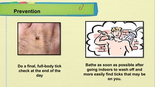 Prevention 
Bathe as soon as possible after 
going indoors to wash off and 
more easily find ticks that may be 
on you. 
Do a final, full-body tick 
check at the end of the 
day 
 