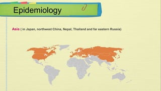 Epidemiology 
Asia ( in Japan, northwest China, Nepal, Thailand and far eastern Russia) 
 