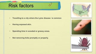 Risk factors 
• Travelling to a city where the Lyme disease is common 
• Having exposed skin. 
• Spending time in wooded or grassy areas. 
• Not removing ticks promptly or properly. 
 