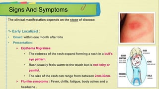 Signs And Symptoms 
The clinical manifestation depends on the stage of disease: 
1- Early Localized : 
• Onset: within one month after bite 
• Presentation: 
 Erythema Migraines: 
• The redness of the rash expand forming a rash in a bull’s 
eye pattern. 
• Rash usually feels warm to the touch but is not itchy or 
painful. 
• The size of the rash can range from between 2cm-30cm. 
 Flu-like symptoms : Fever, chills, fatigue, body aches and a 
headache . 
 