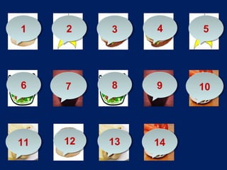 1
1

2
2

3
3

4
4

6
6

7
7

8
8

9
9

11
11

12
12

13
13

14
14

5
5

!!
10
10

 