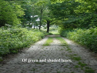 Of green and shaded lanes. 
 