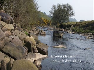 Brown streams 
and soft dim skies 
 