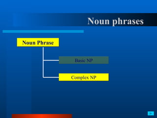 Week 3   noun phrase (p2)