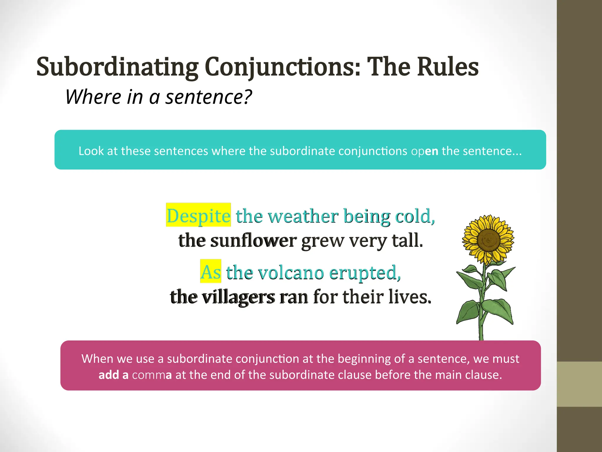Subordinating Conjunctions: The Rules
Where in a sentence?
Despite the weather being cold,
the sunflower grew very tall.
As the volcano erupted,
the villagers ran for their lives.
When we use a subordinate conjunction at the beginning of a sentence, we must
add a a
comm at the end of the subordinate clause before the main clause.
Look at these sentences where the subordinate conjunctions en
op the sentence...
 