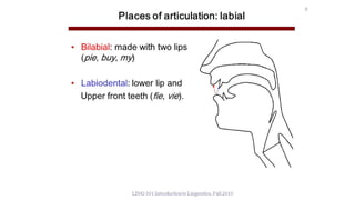 Phonetics | PDF