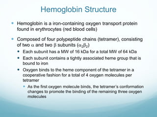 Hemoglobin Structure
 Hemoglobin is a iron-containing oxygen transport protein
found in erythrocytes (red blood cells)
 Composed of four polypeptide chains (tetramer), consisting
of two a and two b subunits (a2b2)
 Each subunit has a MW of 16 kDa for a total MW of 64 kDa
 Each subunit contains a tightly associated heme group that is
bound to iron
 Oxygen binds to the heme component of the tetramer in a
cooperative fashion for a total of 4 oxygen molecules per
tetramer
 As the first oxygen molecule binds, the tetramer’s conformation
changes to promote the binding of the remaining three oxygen
molecules
 