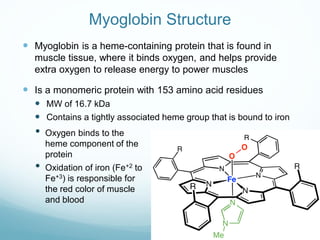 Myoglobin Structure
 Myoglobin is a heme-containing protein that is found in
muscle tissue, where it binds oxygen, and helps provide
extra oxygen to release energy to power muscles
 Is a monomeric protein with 153 amino acid residues
 MW of 16.7 kDa
 Contains a tightly associated heme group that is bound to iron
• Oxygen binds to the
heme component of the
protein
• Oxidation of iron (Fe+2 to
Fe+3) is responsible for
the red color of muscle
and blood
 