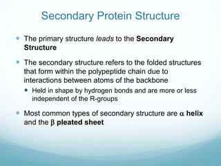 Secondary Protein Structure
 The primary structure leads to the Secondary
Structure
 The secondary structure refers to the folded structures
that form within the polypeptide chain due to
interactions between atoms of the backbone
 Held in shape by hydrogen bonds and are more or less
independent of the R-groups
 Most common types of secondary structure are a helix
and the b pleated sheet
 