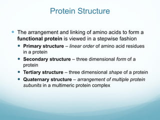 Protein Structure
 The arrangement and linking of amino acids to form a
functional protein is viewed in a stepwise fashio...