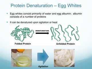 Protein Denaturation – Egg Whites
 Egg whites consist primarily of water and egg albumin; albumin
consists of a number of...