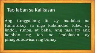 Ang tunggaliang ito ay madalas na
tumutukoy sa mga kalamidad tulad ng
lindol, sunog, at baha. Ang mga ito ang
kalaban ng tao na kadalasan ay
pinagbubuwisan ng buhay
Tao laban sa Kalikasan
 