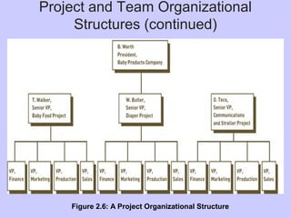 Project and Team Organizational
Structures (continued)
Figure 2.6: A Project Organizational Structure
 