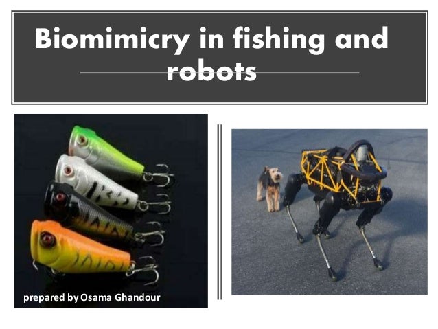 What is a capstone project picture