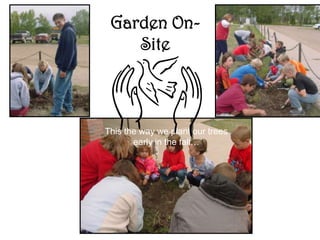 Garden OnSite

This the way we plant our trees
early in the fall…

 