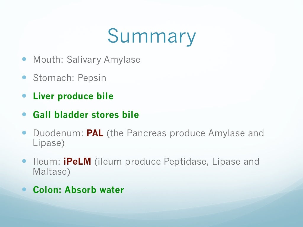 Animal Nutrition for Year 9