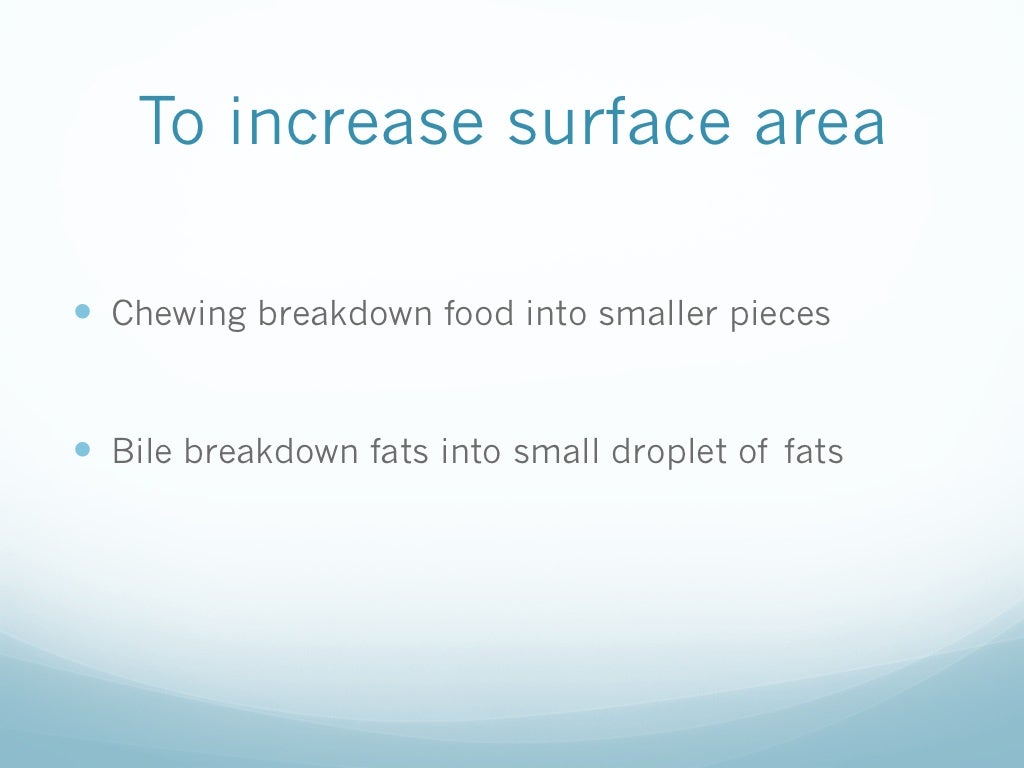Animal Nutrition for Year 9