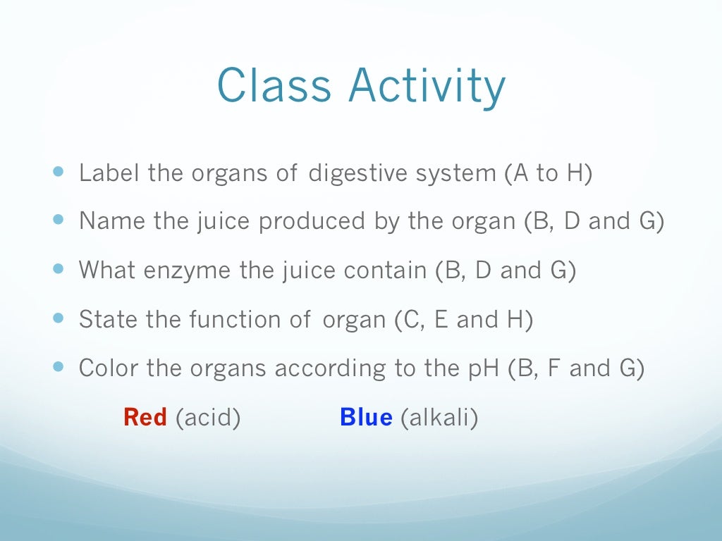 Animal Nutrition for Year 9