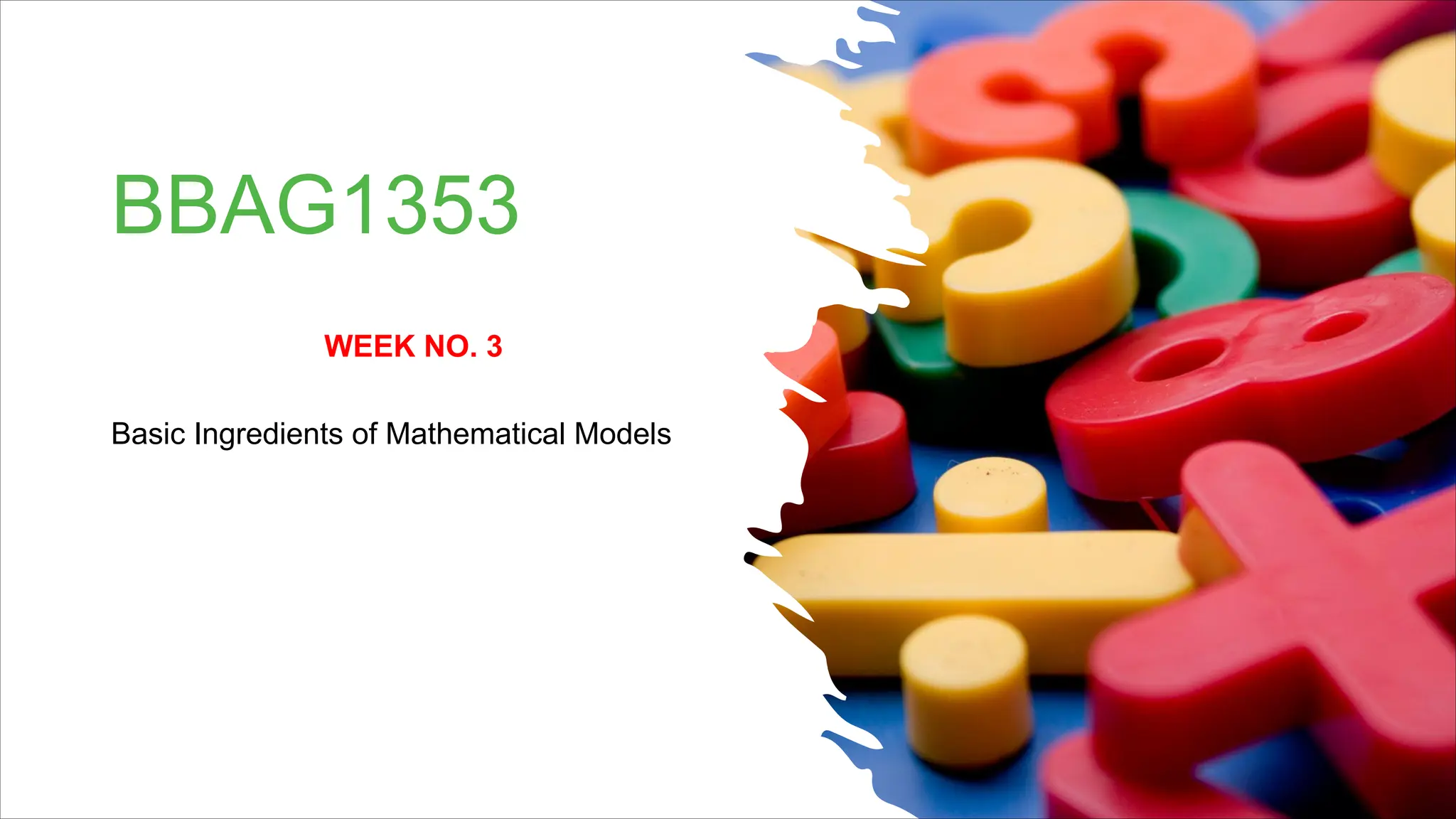 BBAG1353
WEEK NO. 3
Basic Ingredients of Mathematical Models
 