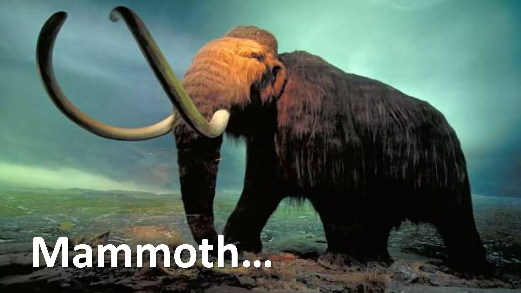 Mammoth…