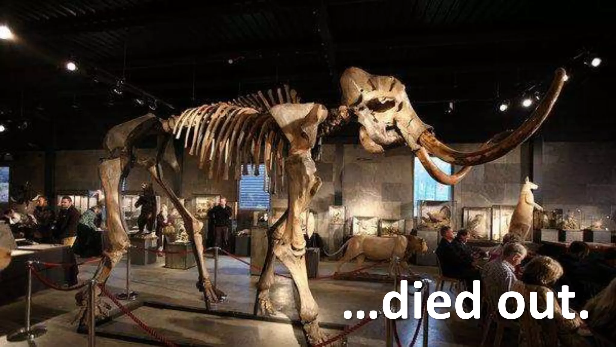 Location …died out.