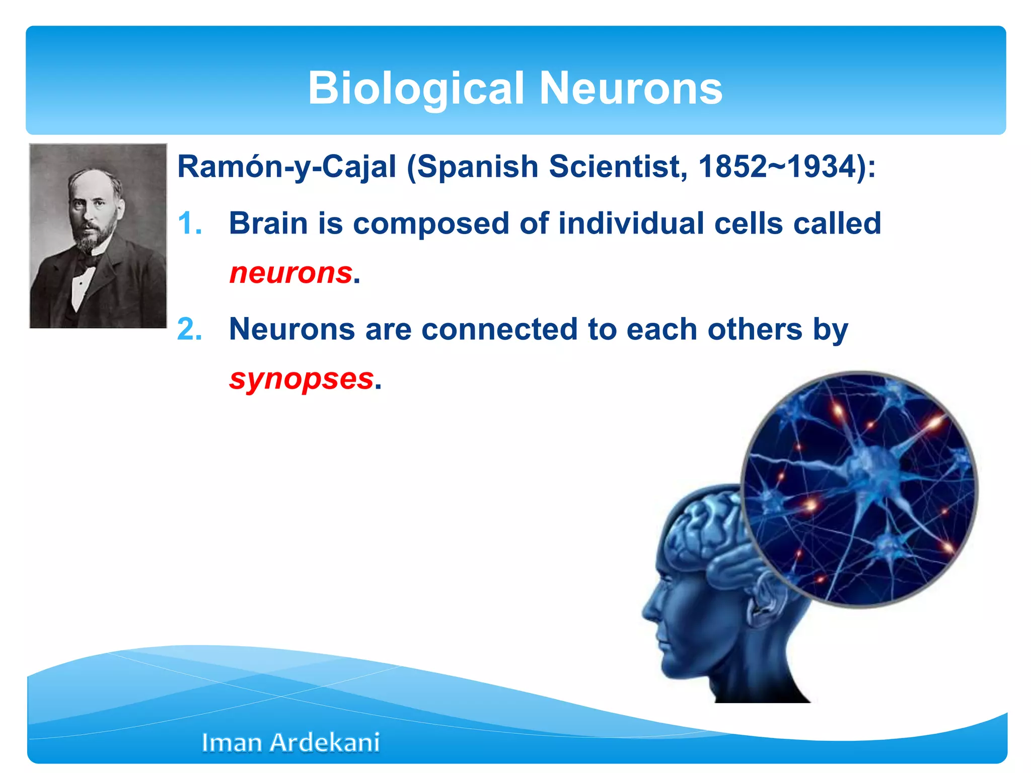 Ramón-y-Cajal (Spanish Scientist, 1852~1934):
1. Brain is composed of individual cells called
neurons.
2. Neurons are connected to each others by
synopses.
Biological Neurons
 