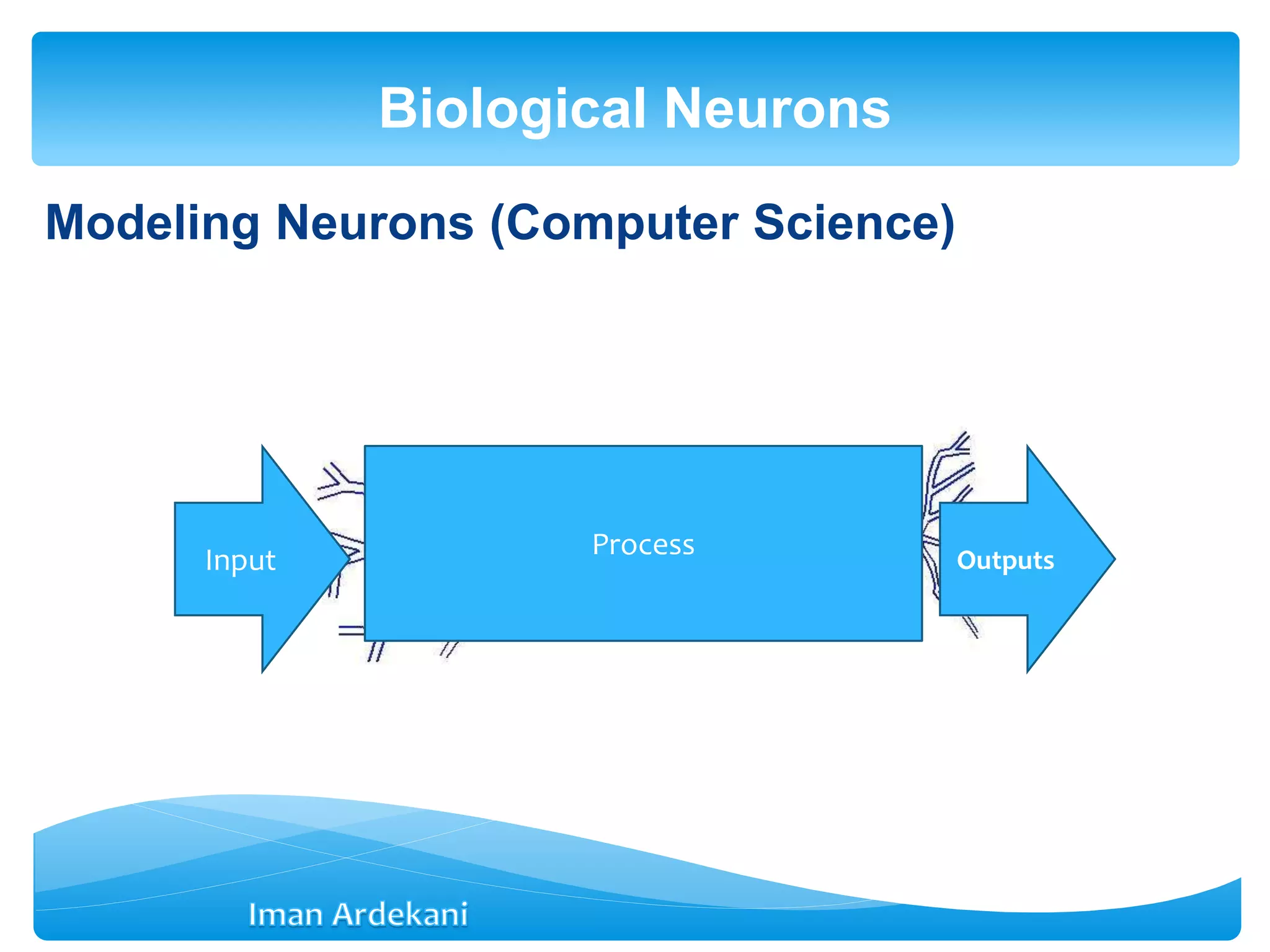 Modeling Neurons (Computer Science)
Biological Neurons
Input Outputs
Process
 