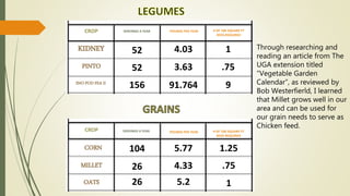 KIDNEY
PINTO
SERVINGS A YEAR POUNDS PER YEAR # OF 100 SQUARE FT
BEDS REQUIRED
CROP
SNO POD PEA II
SERVINGS A YEAR POUNDS PER YEAR # OF 100 SQUARE FT
BEDS REQUIRED
SERVINGS A YEAR
CORN
MILLET
CROP
OATS
104 5.77
4.3326
26 5.2
52 4.03
52 3.63 .75
1
156 91.764 9
1.25
.75
1
SERVINGS A YEAR POUNDS PER YEAR # OF 100 SQUARE FT
BEDS REQUIRED
Through researching and
reading an article from The
UGA extension titled
“Vegetable Garden
Calendar”, as reviewed by
Bob Westerfierld, I learned
that Millet grows well in our
area and can be used for
our grain needs to serve as
Chicken feed.
 