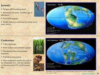 Jurassic:
 Pangea still breaking apart
 Dinosaurs flourish “Golden age of
dinosaurs”
 First birds appear
 North America continues to rotate away
from Africa
Cretaceous:
 T-Rex develops
 First snakes and primates appear
 Deciduous trees and grasses
common
 First flowering plants
 Mass extinction marks the end of
the Mesozoic Era, with the demise
of dinoaurs and 25% of all marine
life.
PaleoMaps used with permission from Christopher Scotese and are under copyright of
C.R. Scotese, 2002 24
Table of Contents
 