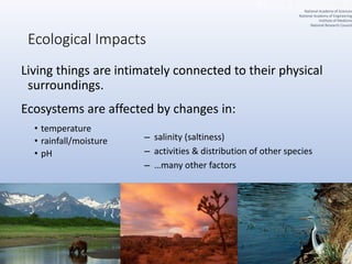 Ecological Impacts
Living things are intimately connected to their physical
surroundings.
Ecosystems are affected by changes in:
• temperature
• rainfall/moisture
• pH
– salinity (saltiness)
– activities & distribution of other species
– …many other factors
National Academy of Sciences
National Academy of Engineering
Institute of Medicine
National Research Council
 