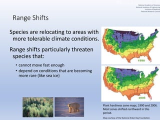 Range Shifts
Species are relocating to areas with
more tolerable climate conditions.
Range shifts particularly threaten
species that:
• cannot move fast enough
• depend on conditions that are becoming
more rare (like sea ice)
Plant hardiness zone maps, 1990 and 2006.
Most zones shifted northward in this
period.
Map courtesy of the National Arbor Day Foundation.
National Academy of Sciences
National Academy of Engineering
Institute of Medicine
National Research Council
 