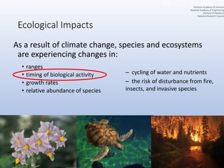 Ecological Impacts
As a result of climate change, species and ecosystems
are experiencing changes in:
• ranges
• timing of biological activity
• growth rates
• relative abundance of species
– cycling of water and nutrients
– the risk of disturbance from fire,
insects, and invasive species
National Academy of Sciences
National Academy of Engineering
Institute of Medicine
National Research Council
 