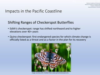 Impacts in the Pacific Coastline
Shifting Ranges of Checkerspot Butterflies
• Edith’s checkerspot: range has shifted northward and to higher
elevations over 40+ years
• Quino checkerspot: first endangered species for which climate change is
officially listed as a threat and as a factor in the plan for its recovery
Image courtesy of Dr. Gordon Pratt, www.quinocheckerspot.com.
National Academy of Sciences
National Academy of Engineering
Institute of Medicine
National Research Council
 