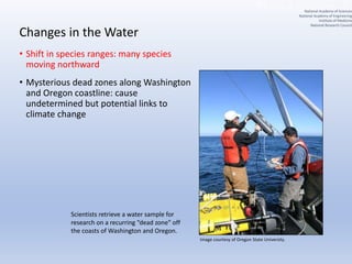 Changes in the Water
• Shift in species ranges: many species
moving northward
• Mysterious dead zones along Washington
and Oregon coastline: cause
undetermined but potential links to
climate change
Scientists retrieve a water sample for
research on a recurring “dead zone” off
the coasts of Washington and Oregon.
Image courtesy of Oregon State University.
National Academy of Sciences
National Academy of Engineering
Institute of Medicine
National Research Council
 