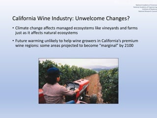California Wine Industry: Unwelcome Changes?
• Climate change affects managed ecosystems like vineyards and farms
just as it affects natural ecosystems
• Future warming unlikely to help wine growers in California’s premium
wine regions: some areas projected to become “marginal” by 2100
National Academy of Sciences
National Academy of Engineering
Institute of Medicine
National Research Council
 