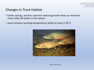 Changes in Trout Habitat
• Earlier springs, warmer summers reducing stream flows as mountain
snow melts off earlier in the season
• Some streams reaching temperatures lethal to trout (>78˚F)
Image courtesy USGS.
National Academy of Sciences
National Academy of Engineering
Institute of Medicine
National Research Council
 