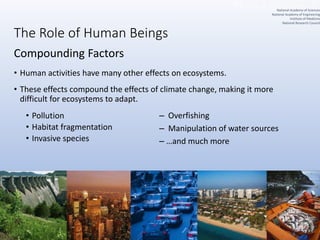 The Role of Human Beings
Compounding Factors
• Human activities have many other effects on ecosystems.
• These effects compound the effects of climate change, making it more
difficult for ecosystems to adapt.
• Pollution
• Habitat fragmentation
• Invasive species
– Overfishing
– Manipulation of water sources
– …and much more
National Academy of Sciences
National Academy of Engineering
Institute of Medicine
National Research Council
 