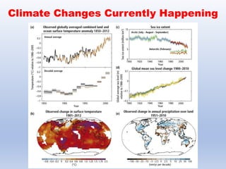 Climate Changes Currently Happening
 