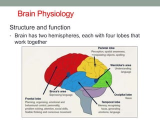 Brain Physiology
Structure and function
• Brain has two hemispheres, each with four lobes that
work together
 