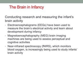The Brain in Infancy
Conducting research and measuring the infant’s
brain activity
• Electroencephalograms (EEGs) have been used to
measure the brain’s electrical activity and learn about
development during infancy
• Magnetoencephalography (MEG) brain imaging
machines are being used to assess perceptual and
cognitive activities
• Near-infrared spectroscopy (fNIRS), which monitors
blood oxygen, is increasingly being used to study infants’
brain activity
 