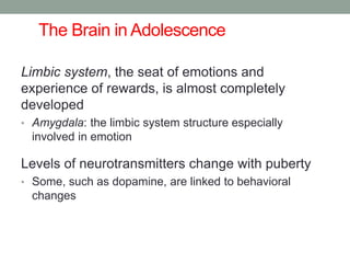 The Brain in Adolescence
Limbic system, the seat of emotions and
experience of rewards, is almost completely
developed
• Amygdala: the limbic system structure especially
involved in emotion
Levels of neurotransmitters change with puberty
• Some, such as dopamine, are linked to behavioral
changes
 