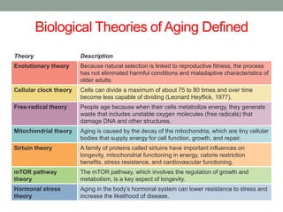 Biological Theories of Aging Defined
Theory Description
Evolutionary theory Because natural selection is linked to reproductive fitness, the process
has not eliminated harmful conditions and maladaptive characteristics of
older adults.
Cellular clock theory Cells can divide a maximum of about 75 to 80 times and over time
become less capable of dividing (Leonard Heyflick, 1977).
Free-radical theory People age because when their cells metabolize energy, they generate
waste that includes unstable oxygen molecules (free radicals) that
damage DNA and other structures.
Mitochondrial theory Aging is caused by the decay of the mitochondria, which are tiny cellular
bodies that supply energy for cell function, growth, and repair.
Sirtuin theory A family of proteins called sirtuins have important influences on
longevity, mitochondrial functioning in energy, calorie restriction
benefits, stress resistance, and cardiovascular functioning.
mTOR pathway
theory
The mTOR pathway, which involves the regulation of growth and
metabolism, is a key aspect of longevity.
Hormonal stress
theory
Aging in the body’s hormonal system can lower resistance to stress and
increase the likelihood of disease.
 