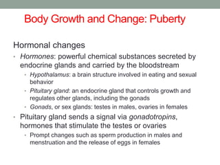 Body Growth and Change: Puberty
Hormonal changes
• Hormones: powerful chemical substances secreted by
endocrine glands and carried by the bloodstream
• Hypothalamus: a brain structure involved in eating and sexual
behavior
• Pituitary gland: an endocrine gland that controls growth and
regulates other glands, including the gonads
• Gonads, or sex glands: testes in males, ovaries in females
• Pituitary gland sends a signal via gonadotropins,
hormones that stimulate the testes or ovaries
• Prompt changes such as sperm production in males and
menstruation and the release of eggs in females
 