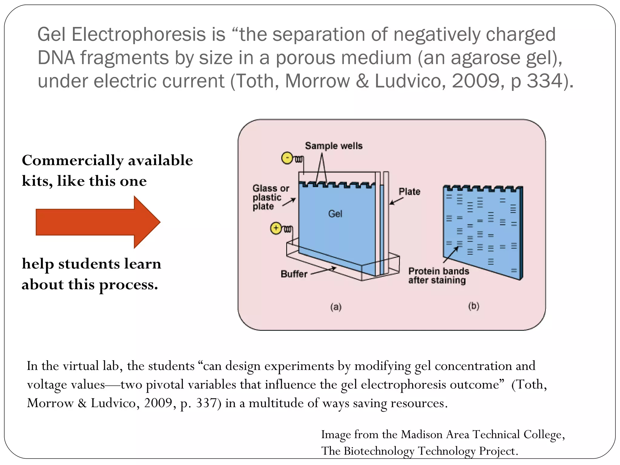 Gel Electrophoresis is “the separation of negatively charged DNA fragments by size in a porous medium (an agarose gel), under electric current (Toth, Morrow & Ludvico, 2009, p 334). In the virtual lab, the students “can design experiments by modifying gel concentration and voltage values—two pivotal variables that influence the gel electrophoresis outcome”  (Toth, Morrow & Ludvico, 2009, p. 337) in a multitude of ways saving resources.  Commercially available kits, like this one help students learn about this process. Image from the Madison Area Technical College,  The Biotechnology Technology Project. 