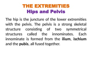 Anatomy and Physiology of the body including musculoskeletal system and ...