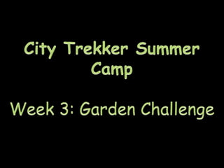City Trekker Summer Camp Week 3: Garden Challenge 