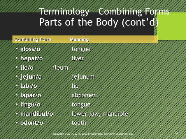 week 3 presentation combining form meaning liver
