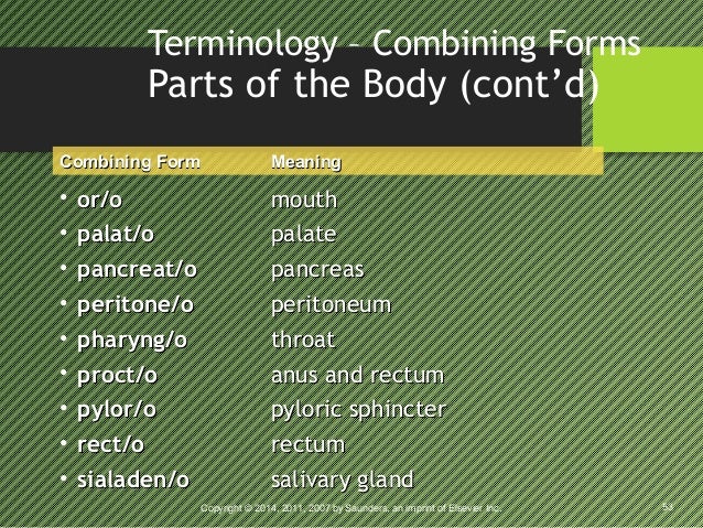 week 3 presentation combining form meaning rectum